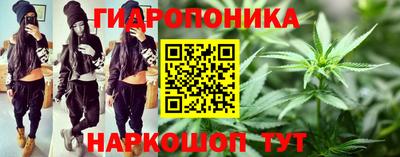 дурь Майкоп