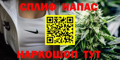 дурь Майкоп
