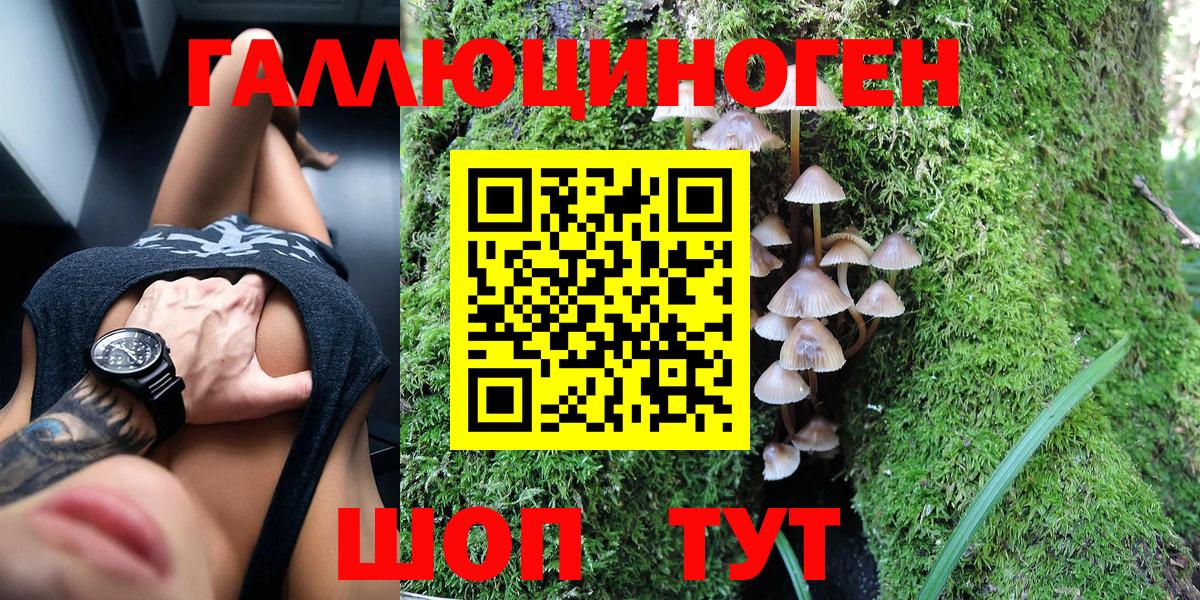 Берёзовский  Псилоцибиновые грибы MAGIC MUSHROOMS  Псилоцибиновые грибы мицелий  Вход с VPN 